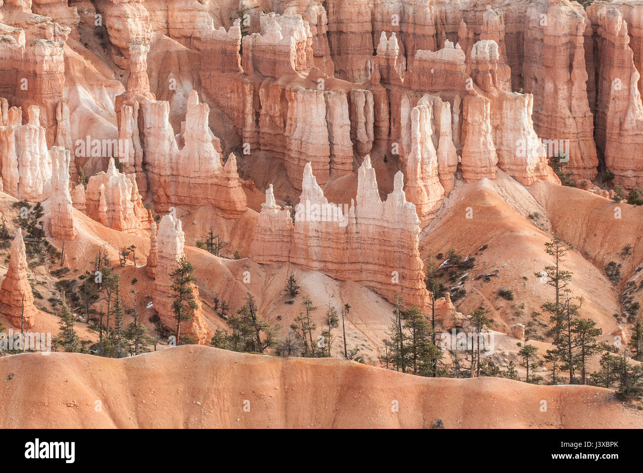 De forme irrégulière de fée (flèches) en terre en hiver à Bryce Canyon National Park, Utah. Banque D'Images