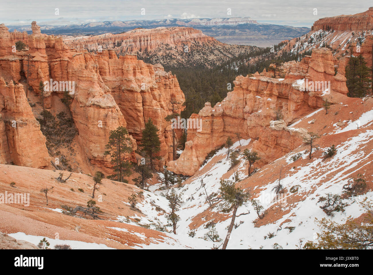 De forme irrégulière de fée (flèches) en terre en hiver à Bryce Canyon National Park, Utah. Banque D'Images