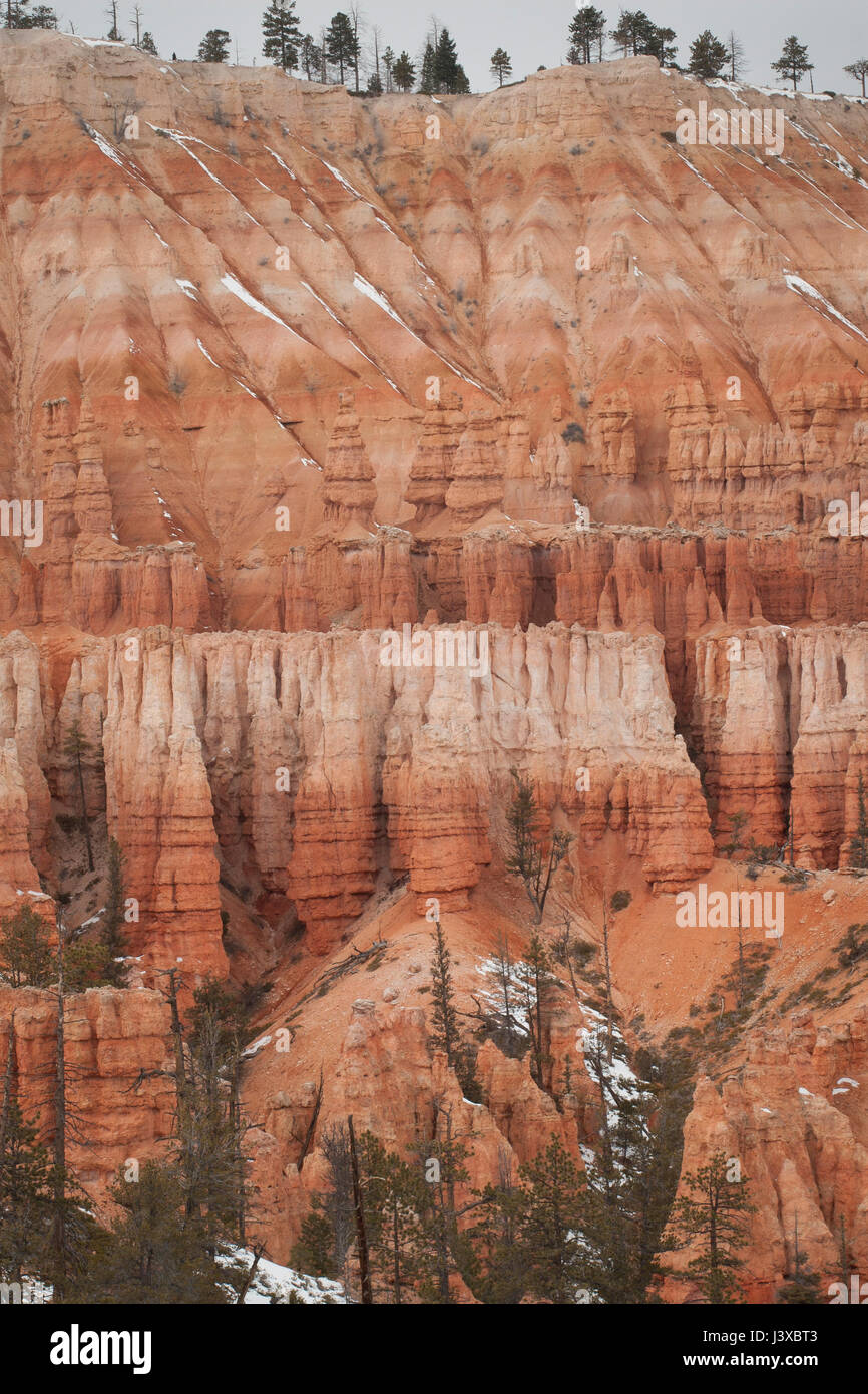 De forme irrégulière de fée (flèches) en terre en hiver à Bryce Canyon National Park, Utah. Banque D'Images