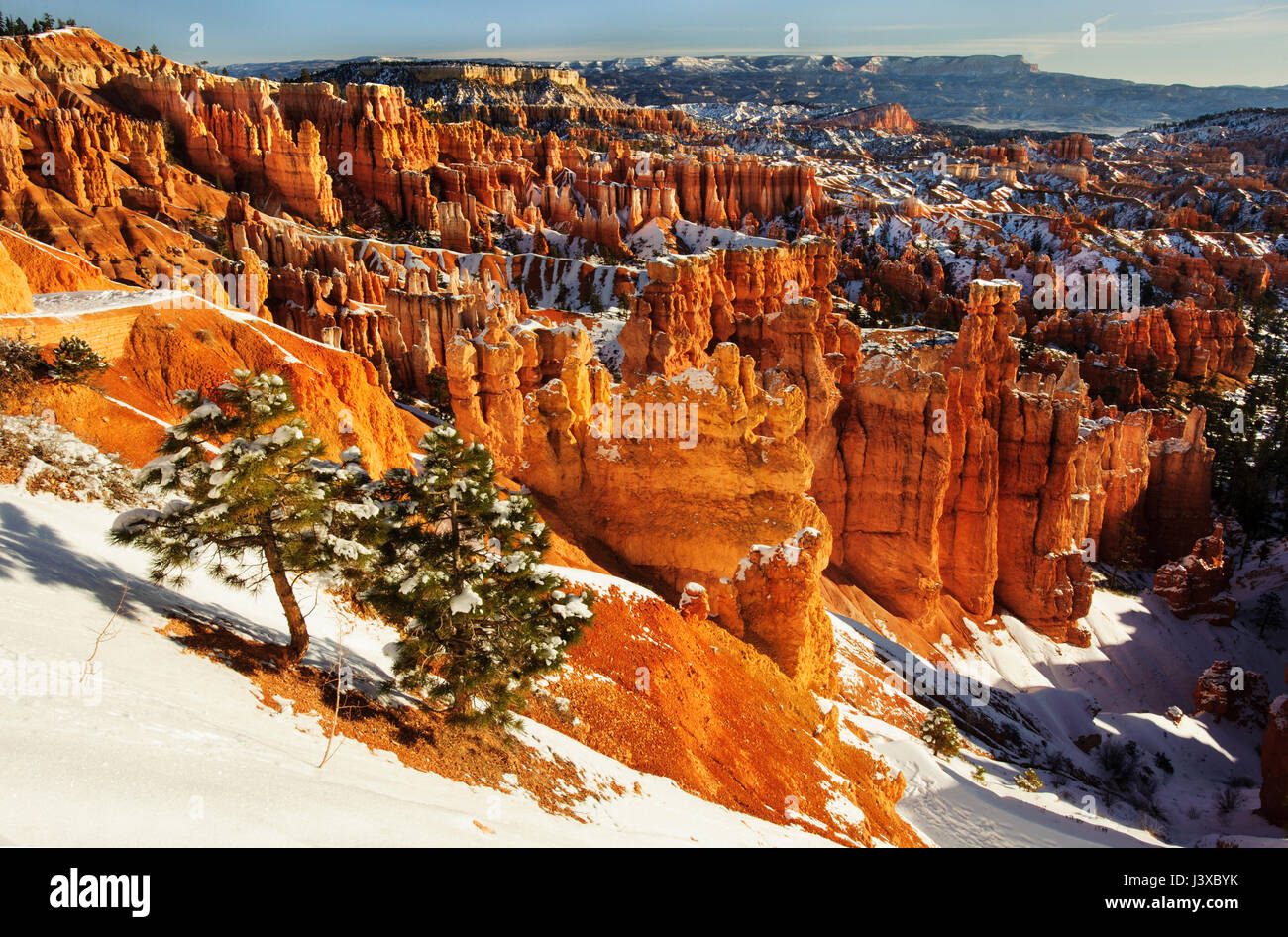 L'Utah ; Parc National de Bryce Canyon ; Caractéristiques naturelles ; désert ; l'hiver. Banque D'Images