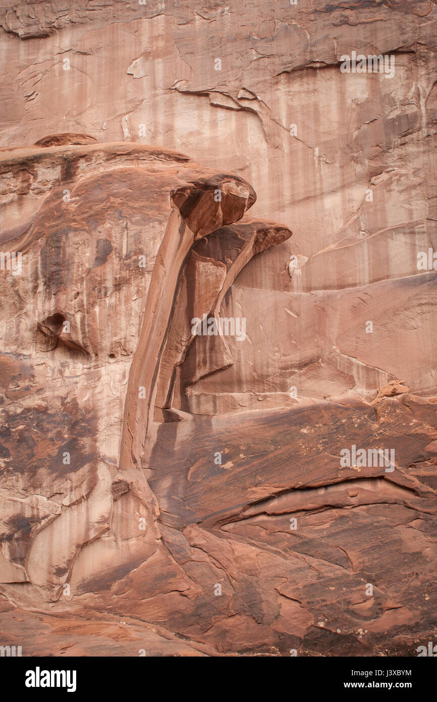 Formation de grès de vagues avec patine vernis du désert. Arches National Park, Utah, USA. Banque D'Images