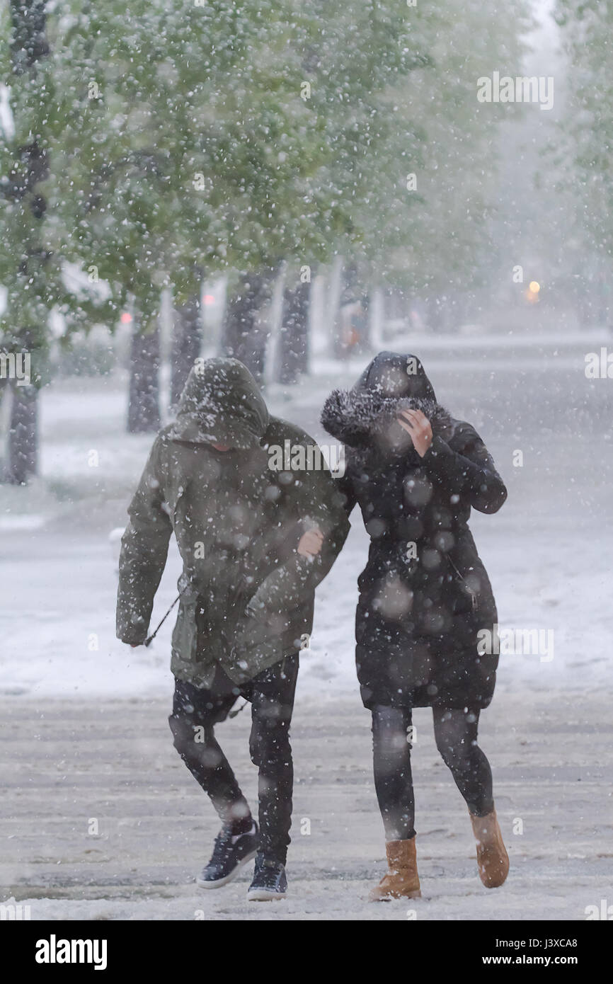 Les gens vont à la difficulté d'une tempête de neige en avril. Effet du réchauffement climatique. Banque D'Images