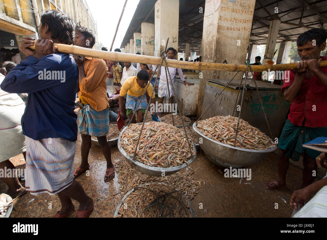 Des travailleurs portent des crevettes au marché de la pêche Ghat. Cox's Bazar (Bangladesh). Banque D'Images