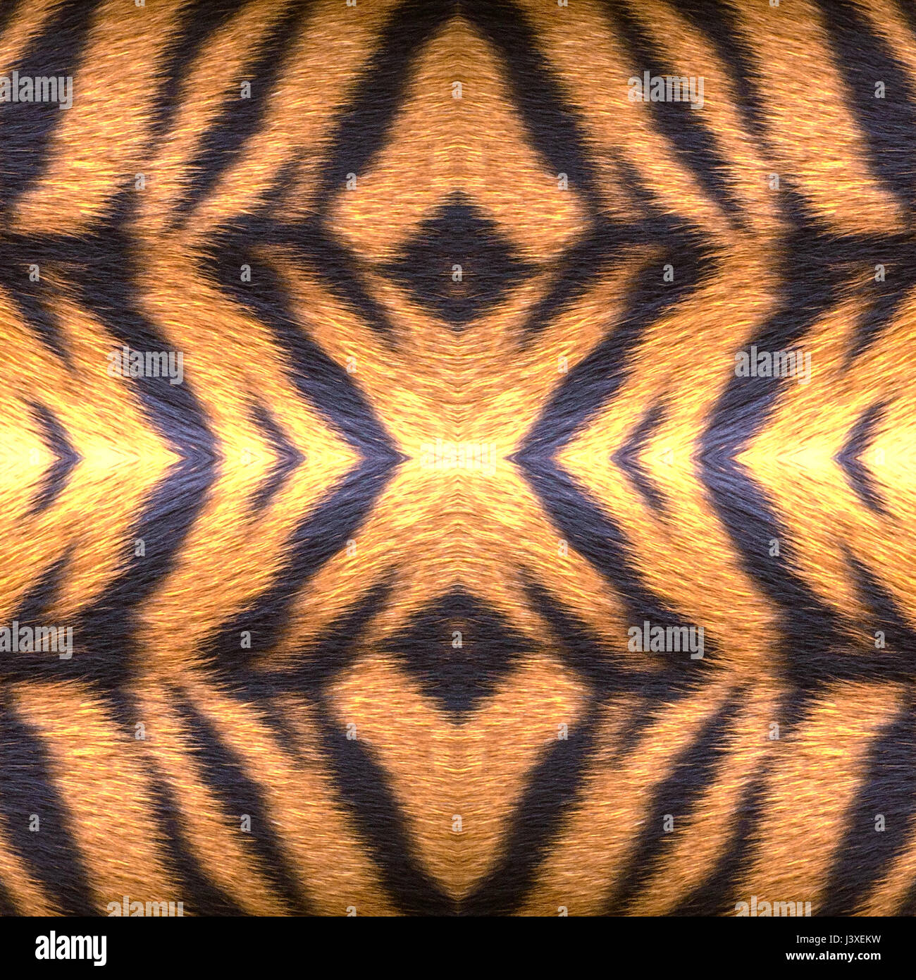 Une peau de tigre, abstract pattern ou un arrière-plan, natural pattern par mère nature. Banque D'Images