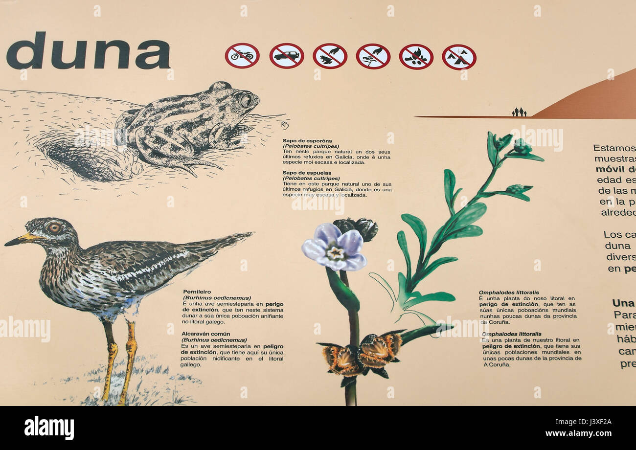 Parc naturel de Dunas de Corrubedo y y Lagunas de Carregal Vixan-informatif, l'affiche de Olveira, Ribeira, province de La Corogne, une région de Galice, Espagne, Euro Banque D'Images