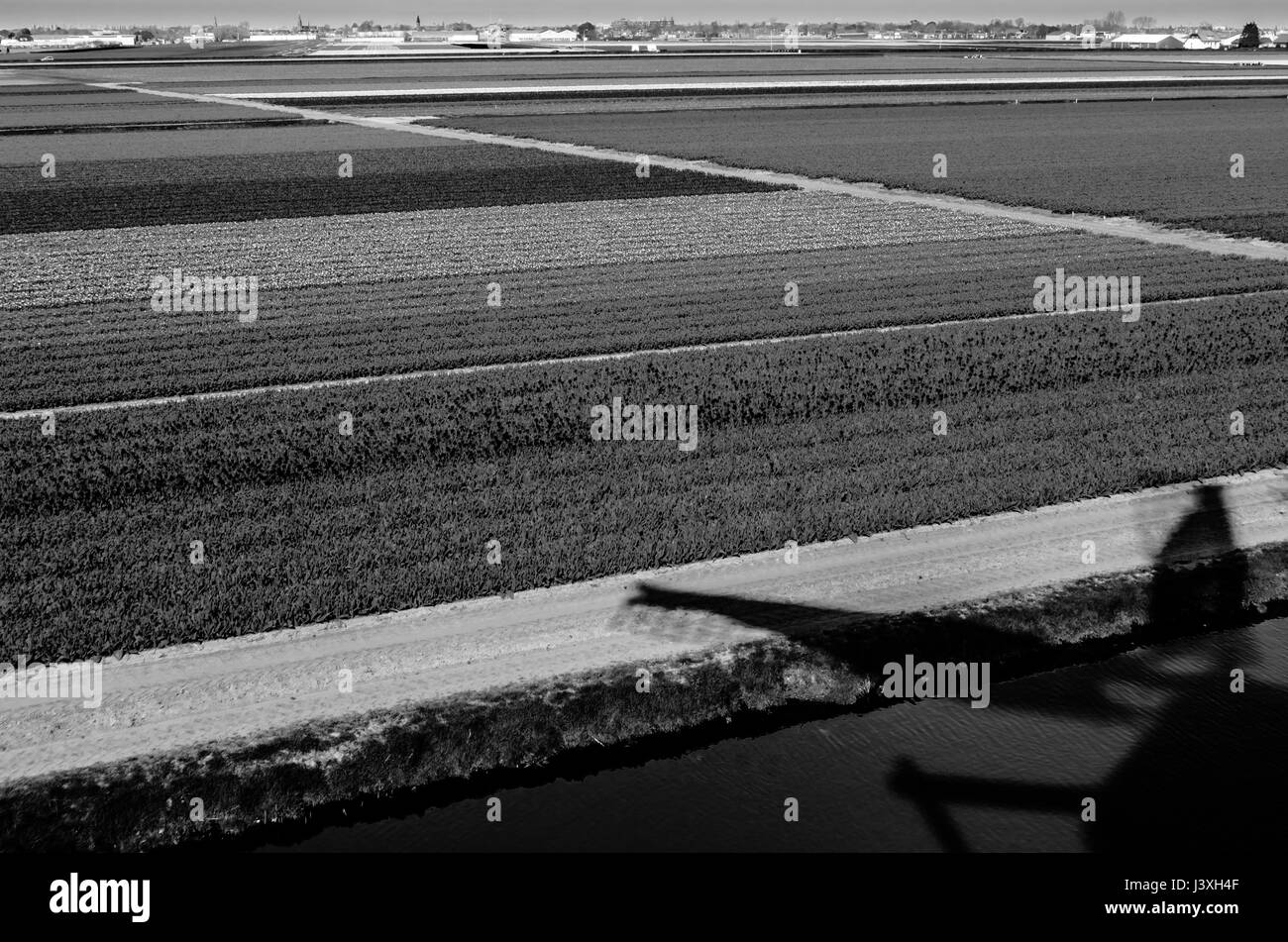 Paysage de champ, image en noir et blanc Banque D'Images