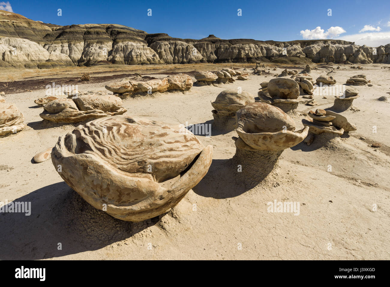 Région sauvage de Bisti ou de-Na-Zin ou terrains de badoms présentant des formations rocheuses uniques formées par l'érosion, Nouveau-Mexique, États-Unis Banque D'Images