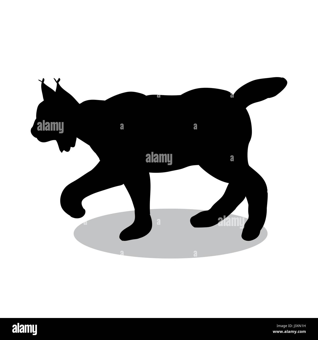 La faune Lynx animal silhouette noire Illustration de Vecteur