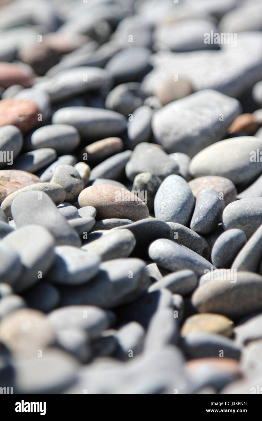 Libre de galets sur une plage Banque D'Images