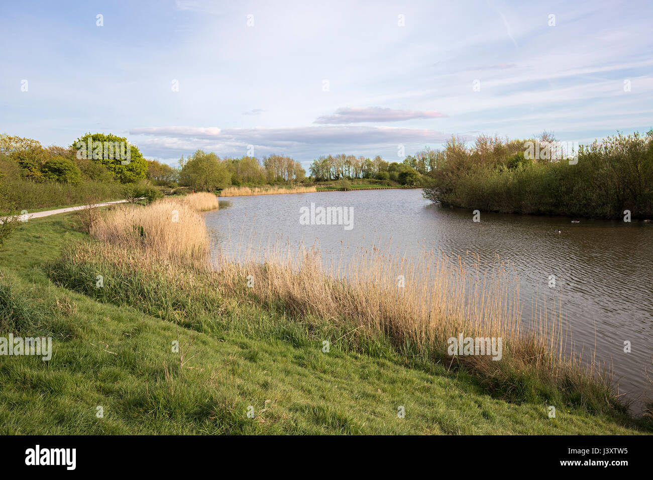 Hendre Lake Park, Cardiff, Pays de Galles, Royaume-Uni Banque D'Images