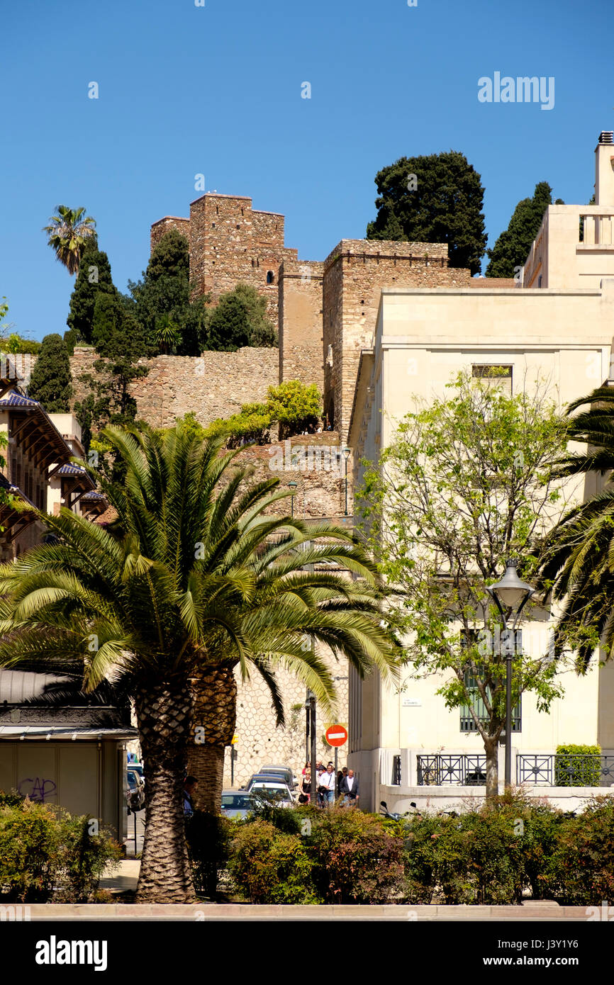 Vue du Parque de Malaga vers l'Alcazaba de Malaga Banque D'Images