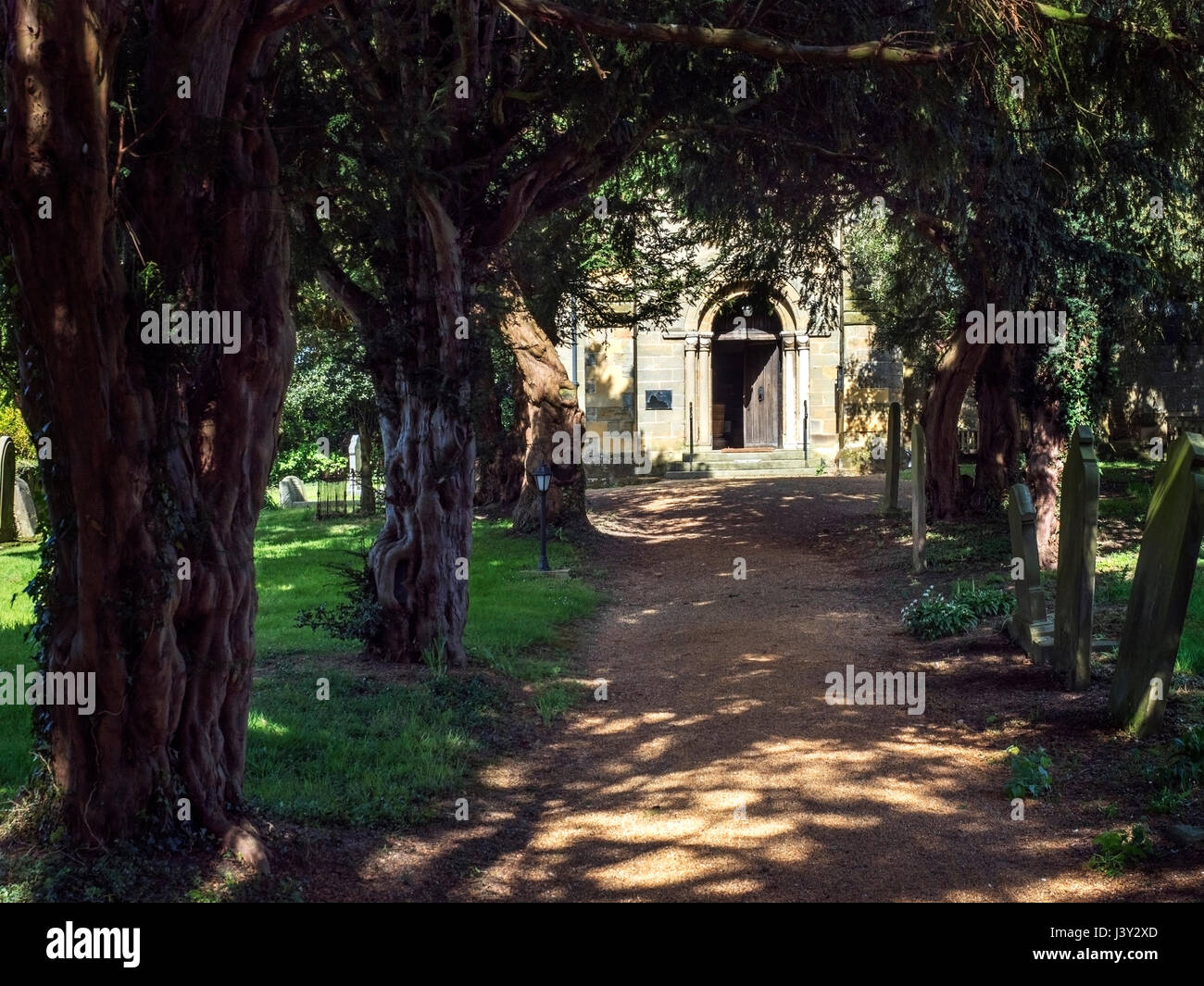 Chemin bordé d'arbres à travers le cimetière à l'église de St Mary à Roecliffe Boroughbridge près de Yorkshire Angleterre Banque D'Images