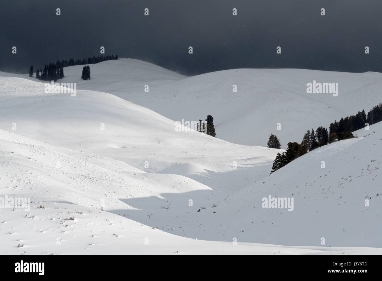 Blizzard à venir, la dernière lumière du soleil, du vent fort de neige carbonique sur des collines stériles, menaçant le ciel noir foncé, mauvais temps au-dessus des collines de Lamar Valley, États-Unis Banque D'Images