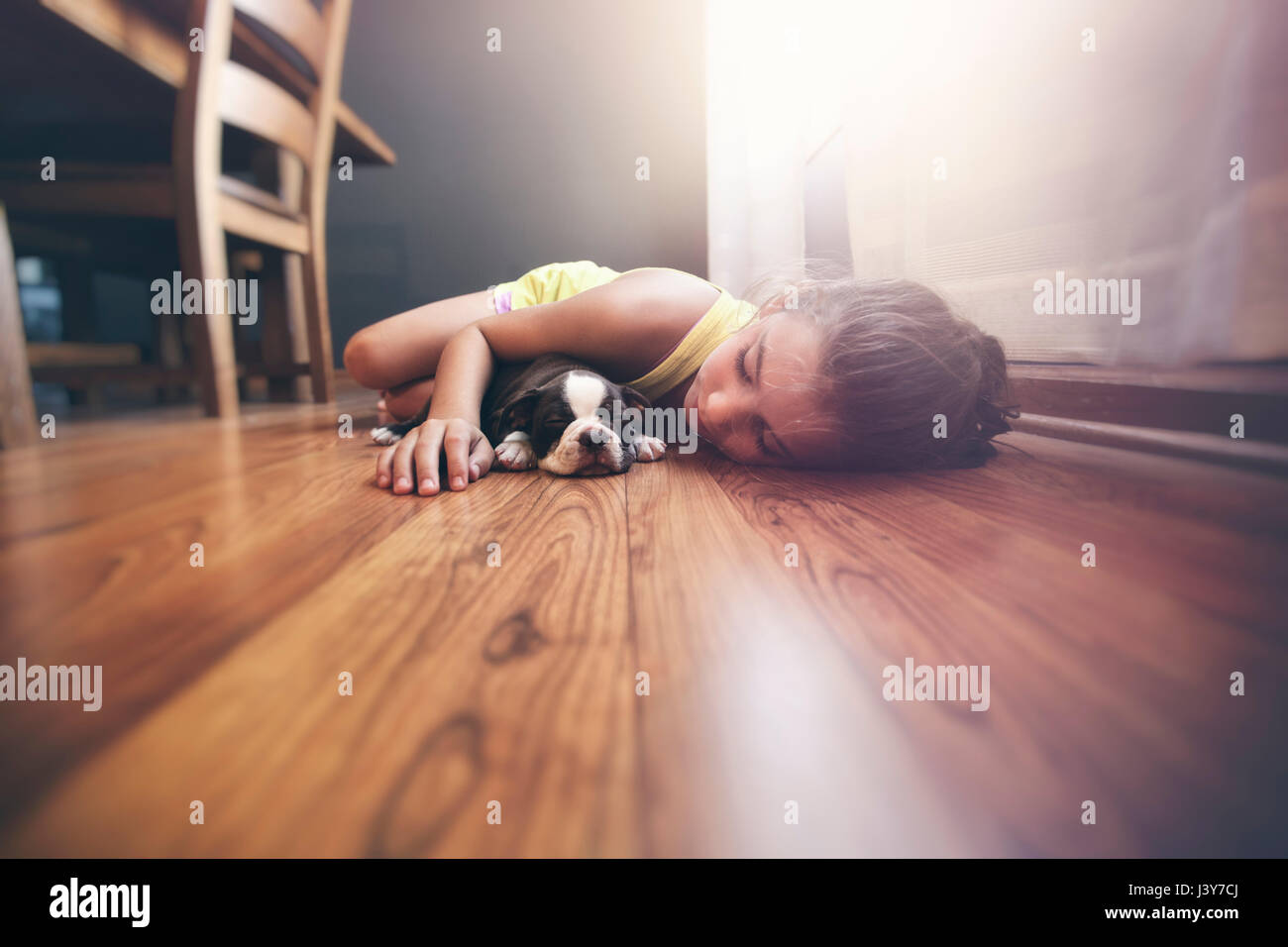 Girl lying on floor avec coin couchage chiot Boston Terrier Banque D'Images