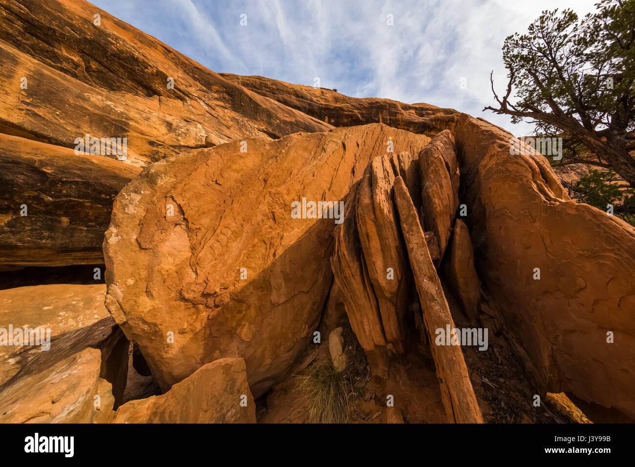 Canyon Road dans les Oreilles Ours National Monument, le sud de l'Utah, USA Banque D'Images