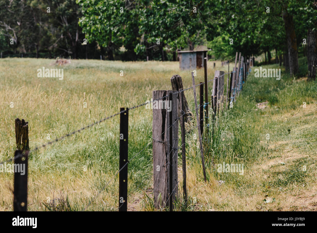 Clôtures de ferme Rustique Banque D'Images