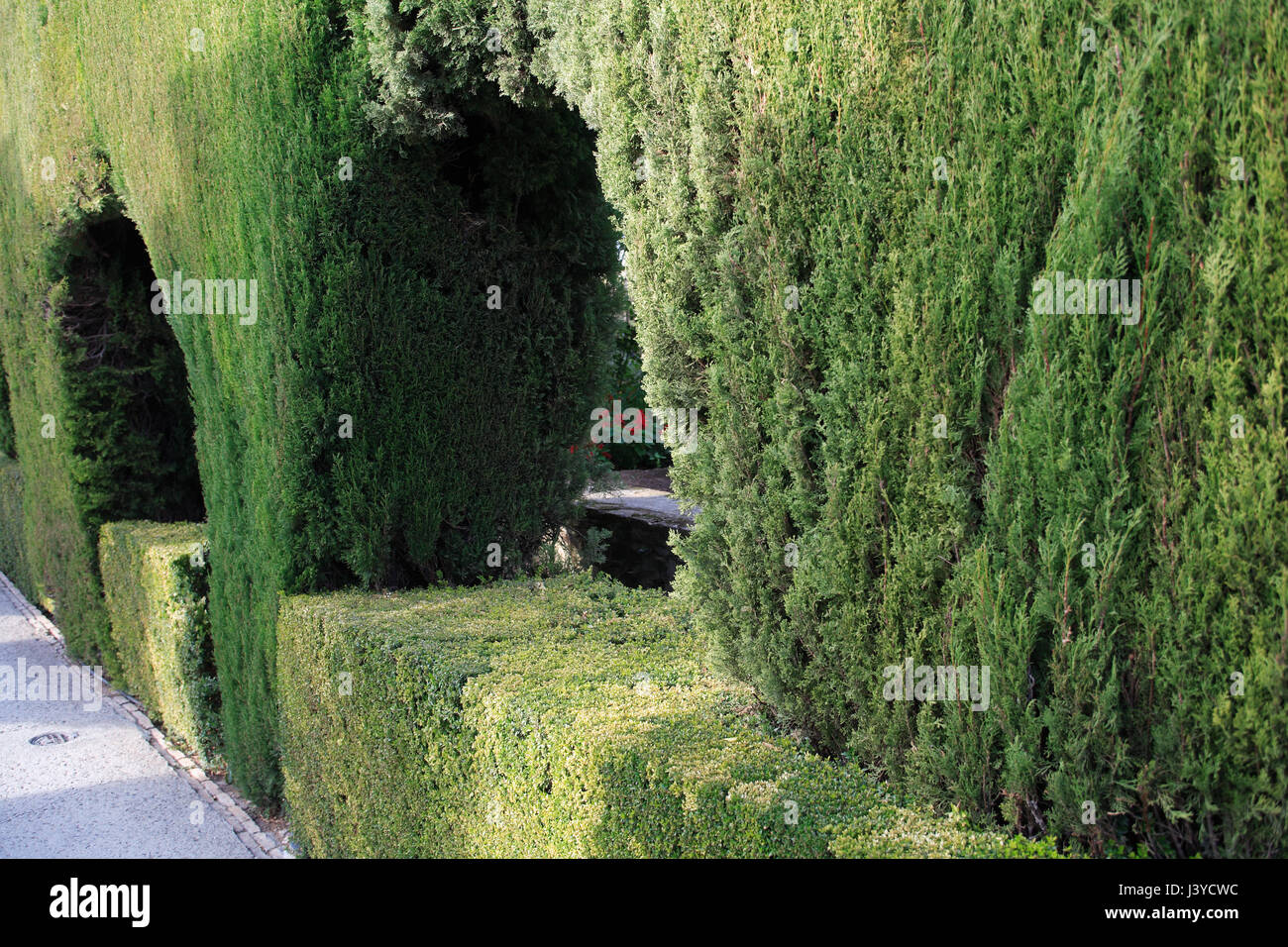 La construction de l'usine de Nice dans les jardins du Generalife. Alhambra Granada, Espagne, Banque D'Images