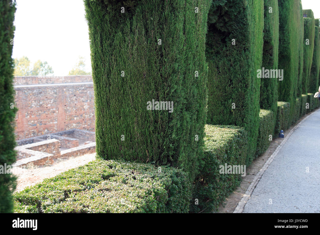 La construction de l'usine de Nice dans les jardins du Generalife. Alhambra Granada, Espagne, Banque D'Images