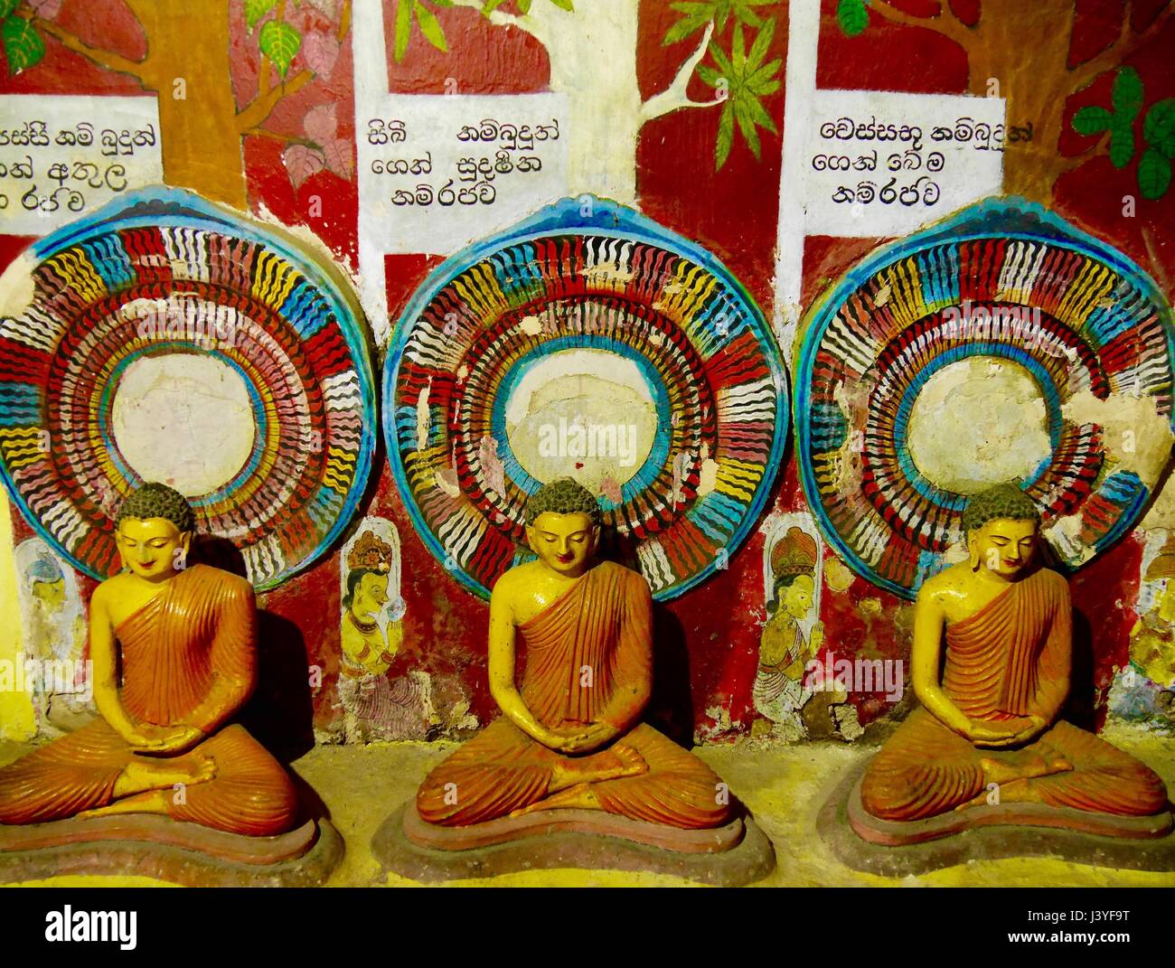 Rangée de Sri Lanka anciennes statues de Bouddha en cave Temple Banque D'Images