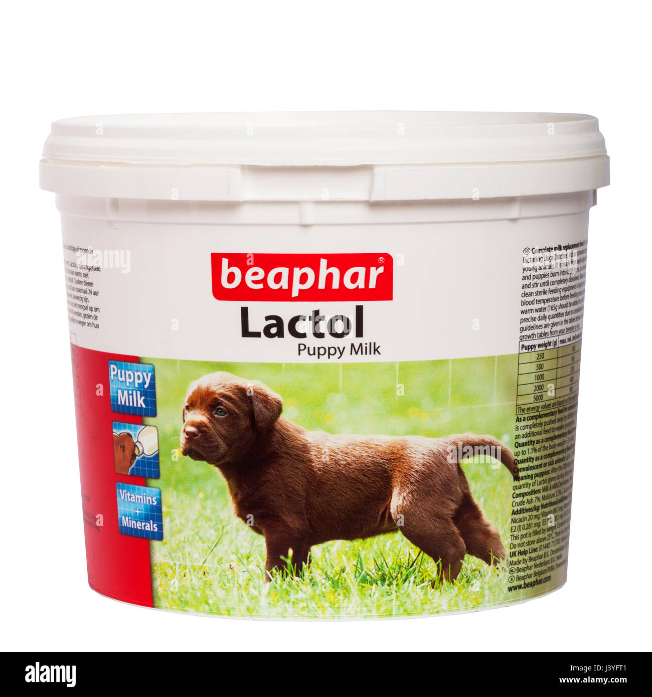 Une baignoire de use Beaphar Lactol lait pour chiots chiot alimentation sur un fond blanc Banque D'Images