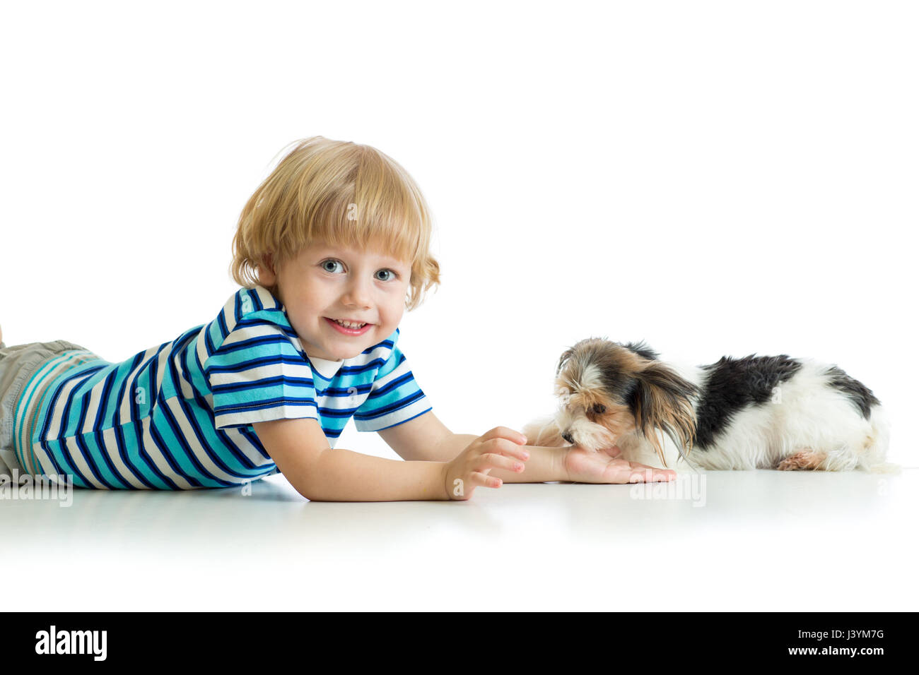 L'amitié entre l'enfant et mignon chien de terrier de Yorkshire Banque D'Images
