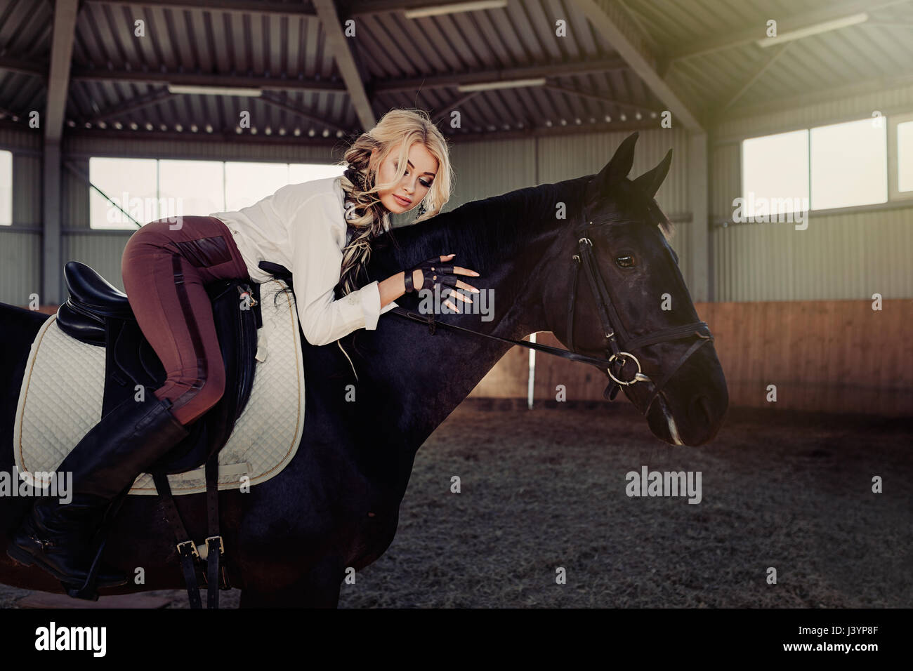 Belle jeune fille blonde élégante une lieson son cheval noir s'habiller uniformes de concurrence chemisier blanc chemise et pantalon brun. Piscine portraite dans ridi Banque D'Images