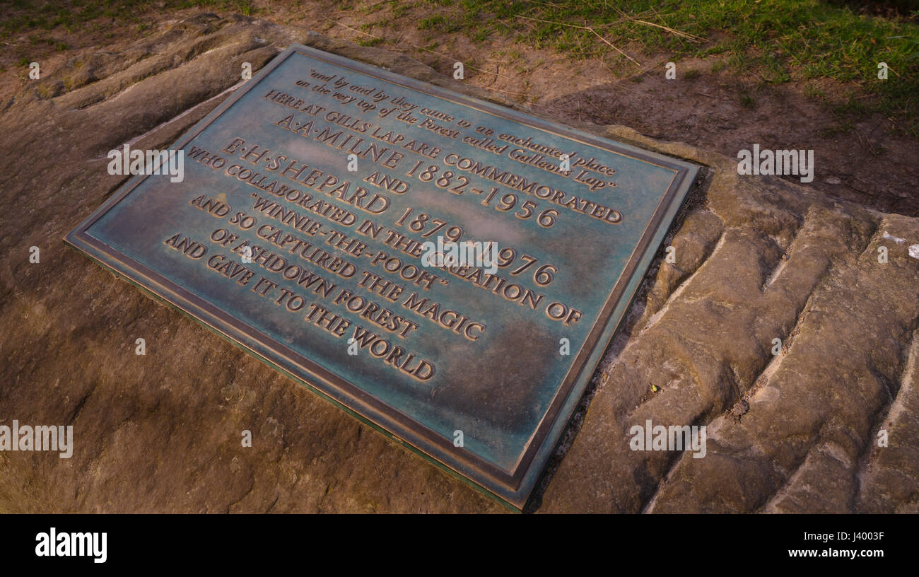 Gill's Lap sur Ashdown Forest où une pierre commoration est placé pour Milneand AA pour l'EH Shepard histoire de Winnie l'ourson. 26/03/17 Banque D'Images