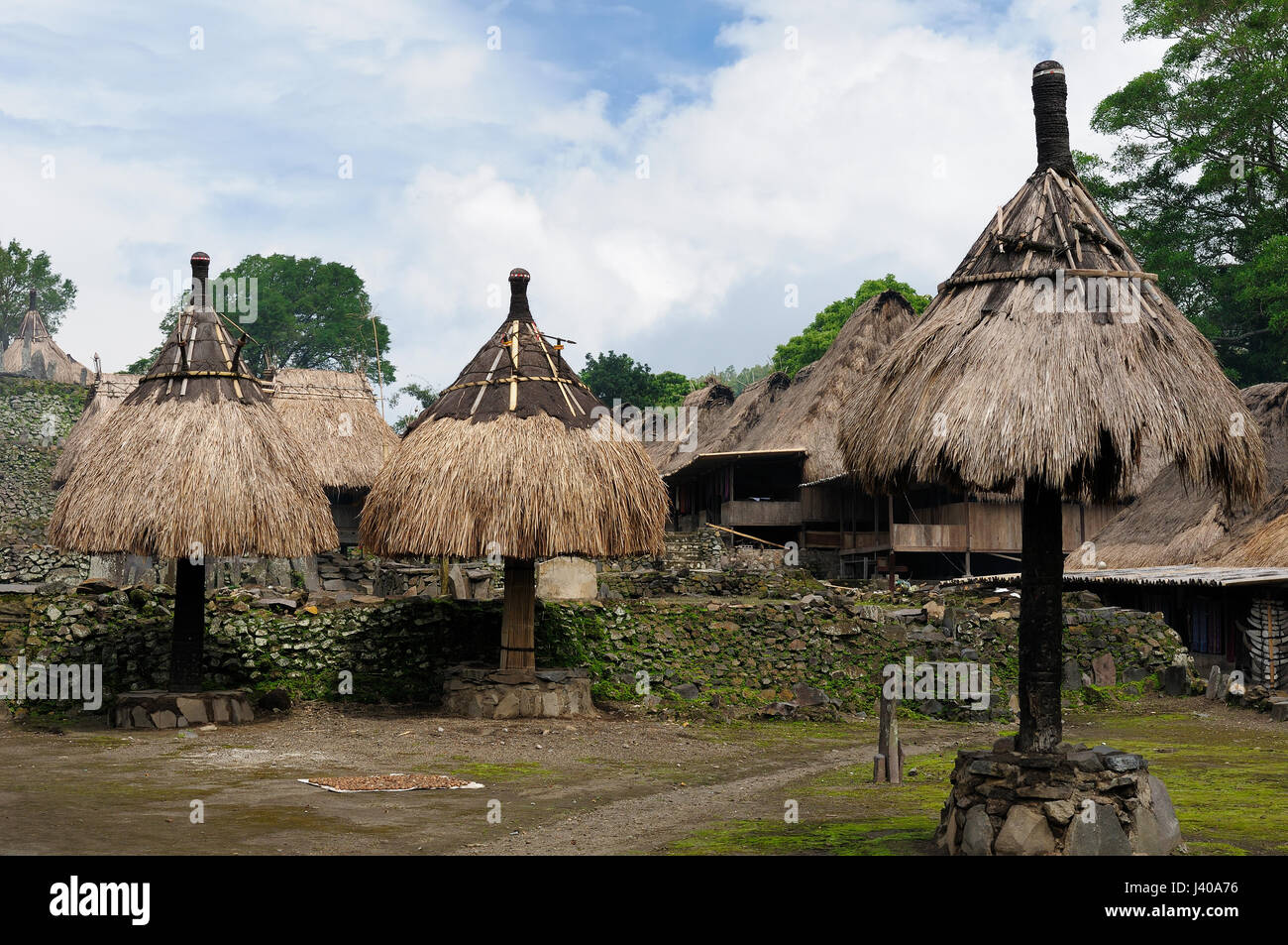 Village ethnique traditionnelle sur une île Flores en Indonésie étant une attraction touristique principale de la région Banque D'Images