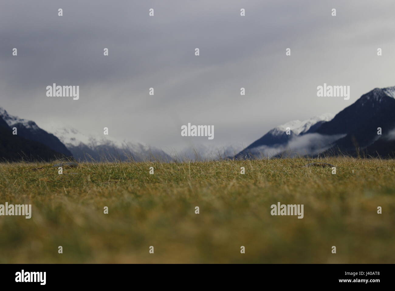 Paysage Milford Sound en Nouvelle-Zélande de Seigneur des anneaux Banque D'Images