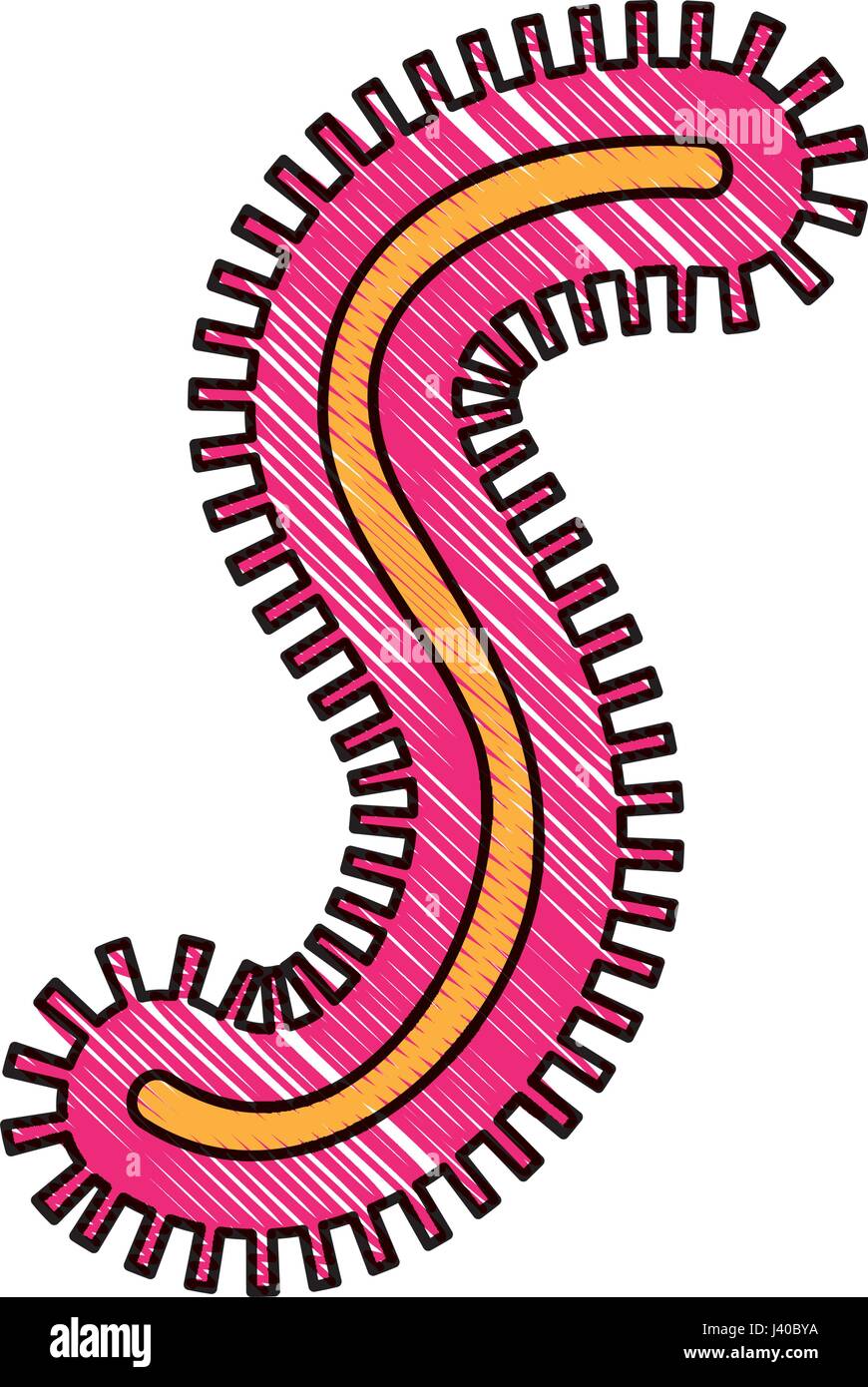 Icône de structure de la cellule bactérienne Illustration de Vecteur