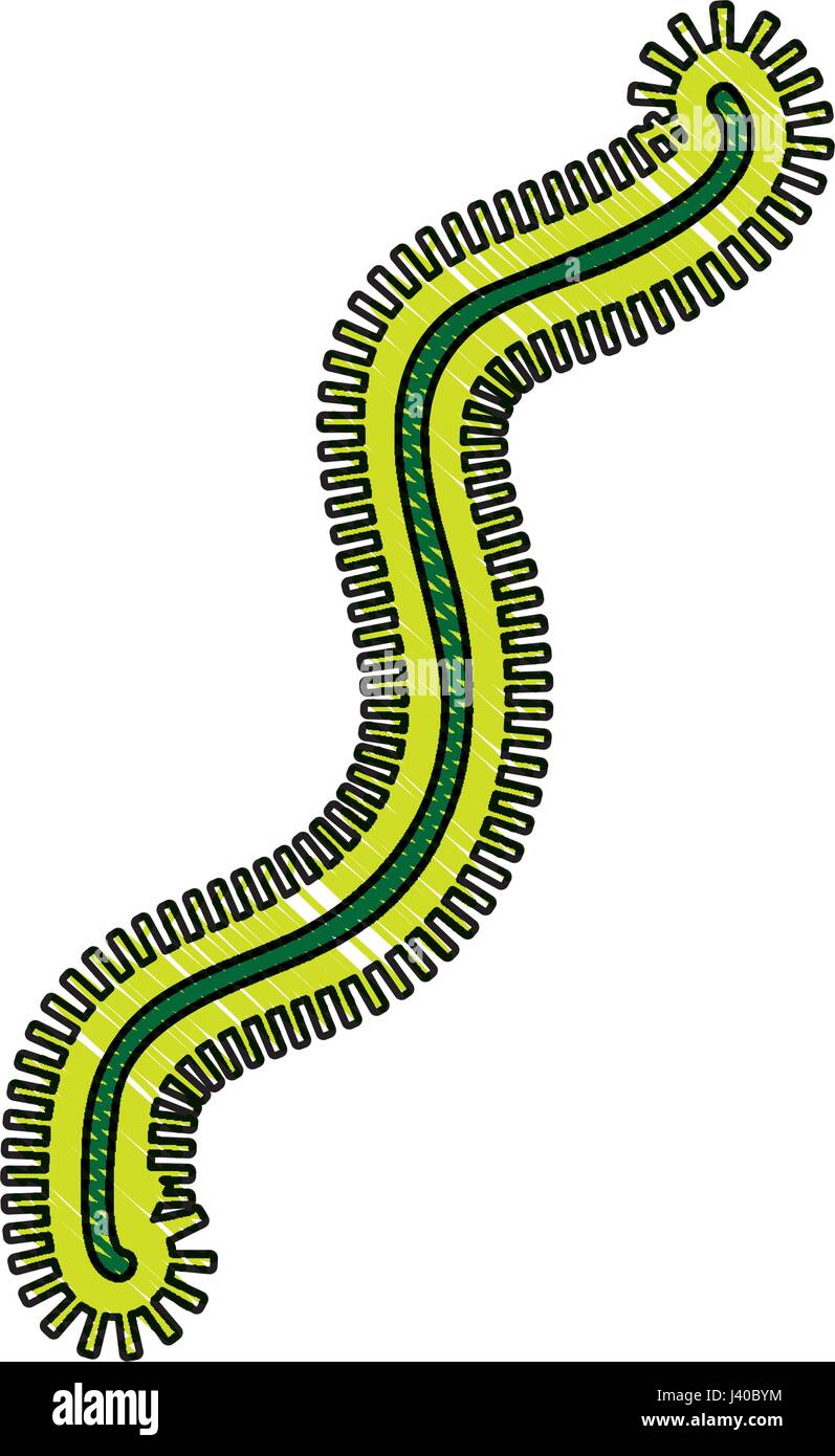 Icône de structure de la cellule bactérienne Illustration de Vecteur