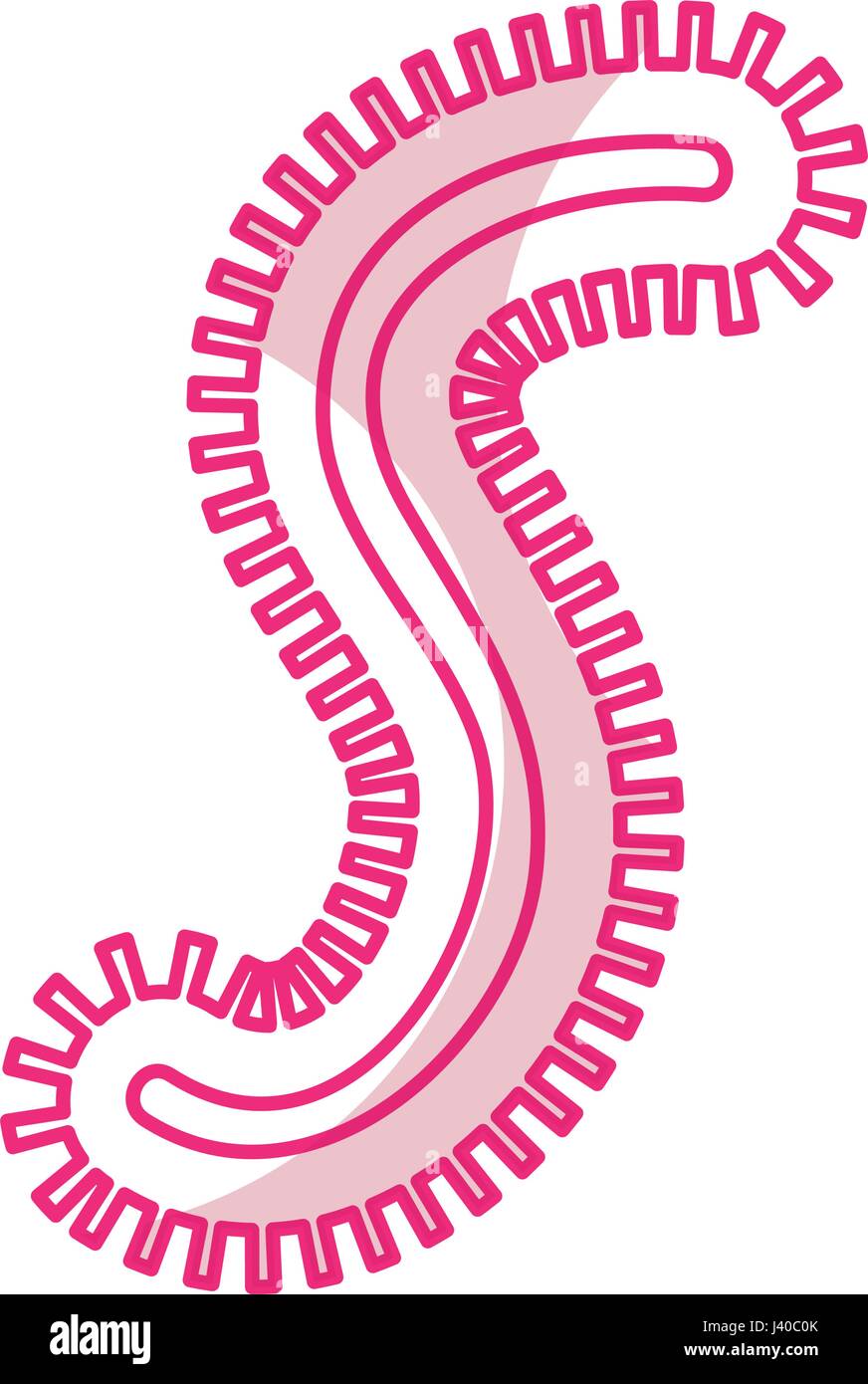Icône de structure de la cellule bactérienne Illustration de Vecteur