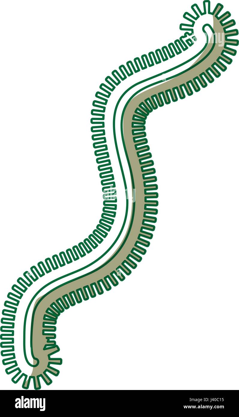 Icône de structure de la cellule bactérienne Illustration de Vecteur