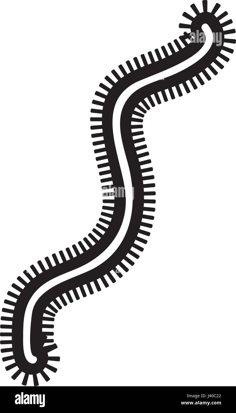 Icône de structure de la cellule bactérienne Illustration de Vecteur