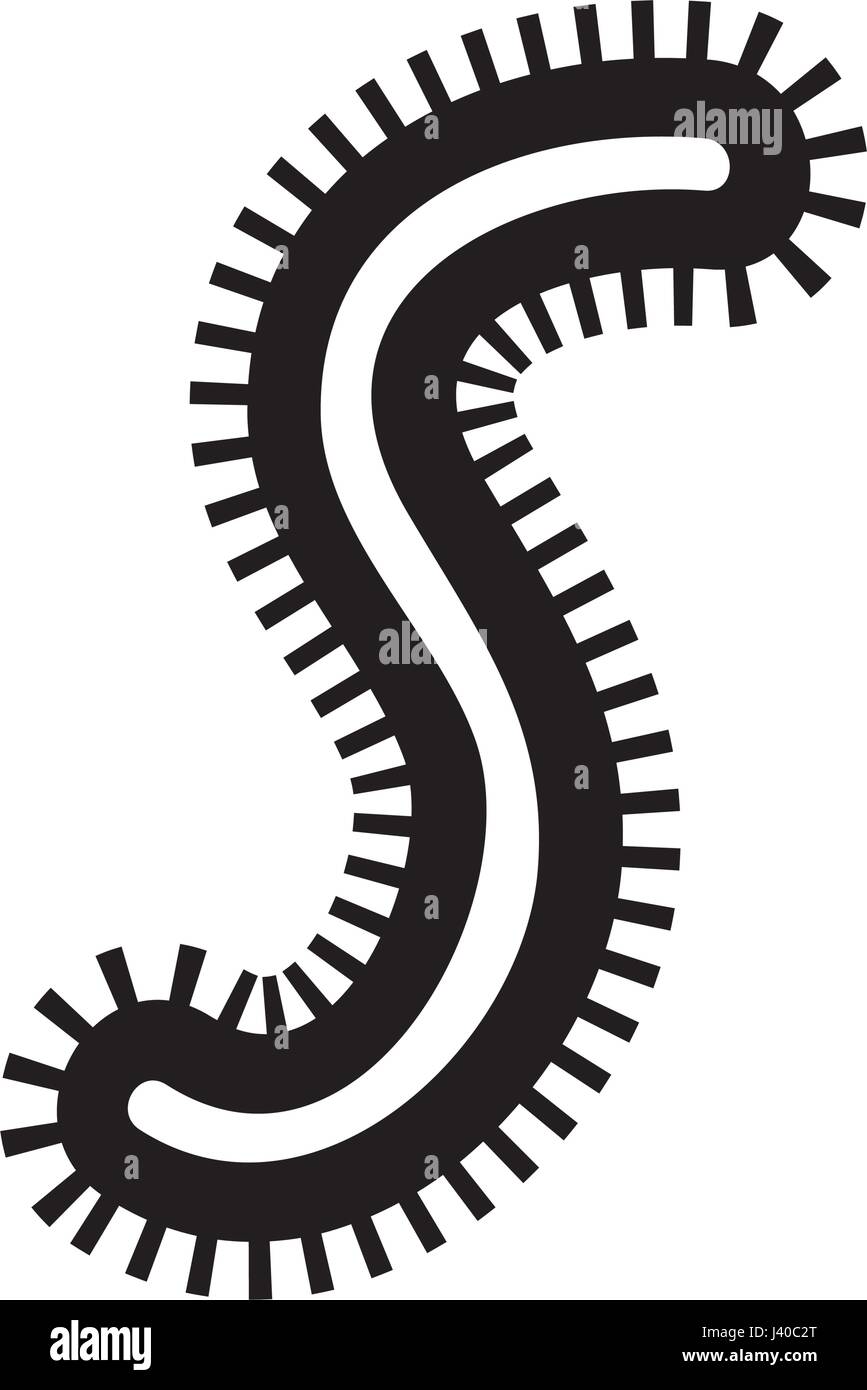 Icône de structure de la cellule bactérienne Illustration de Vecteur