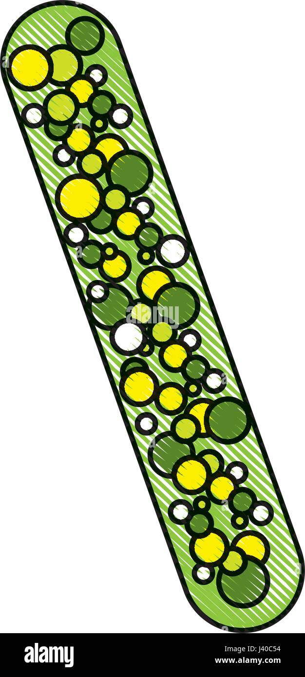 Icône de structure de la cellule bactérienne Illustration de Vecteur