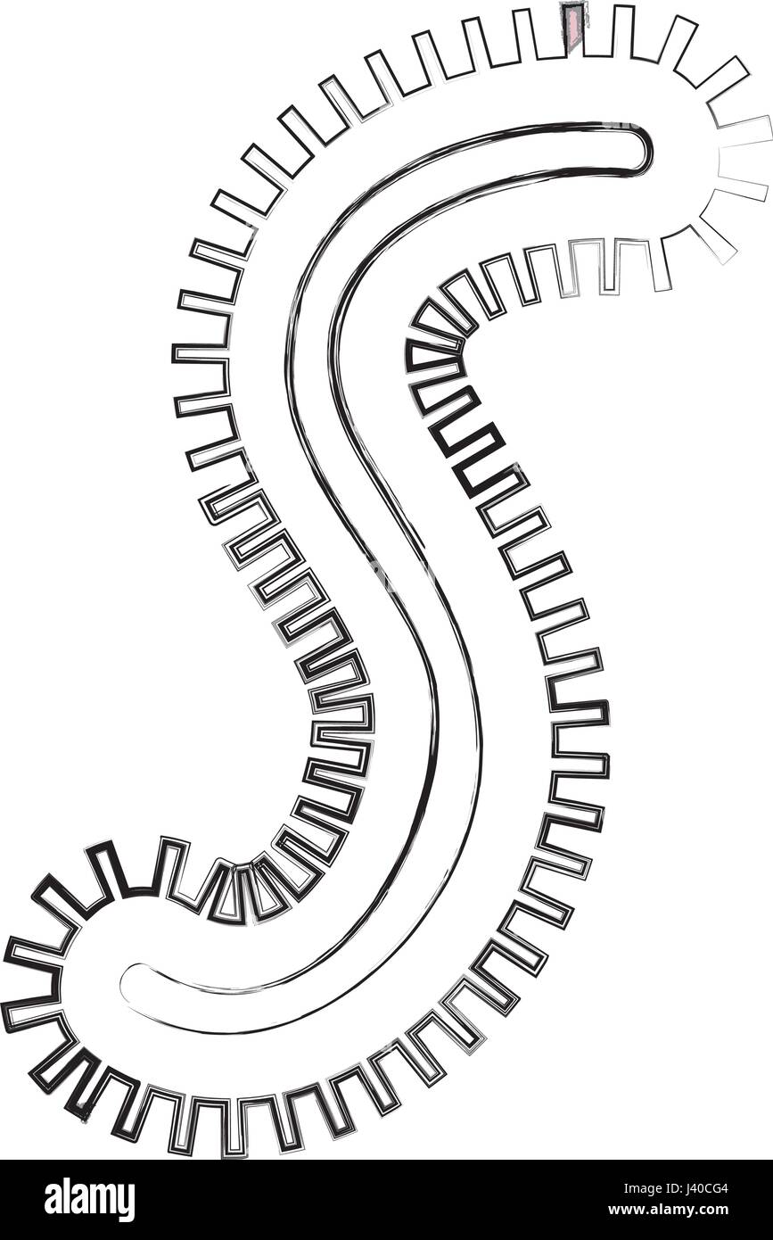 Icône de structure de la cellule bactérienne Illustration de Vecteur