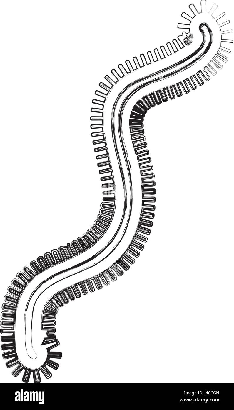 Icône de structure de la cellule bactérienne Illustration de Vecteur