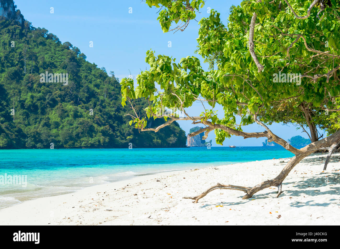 Vue panoramique de la plage de l'île tropicale de la côte contre Banque D'Images