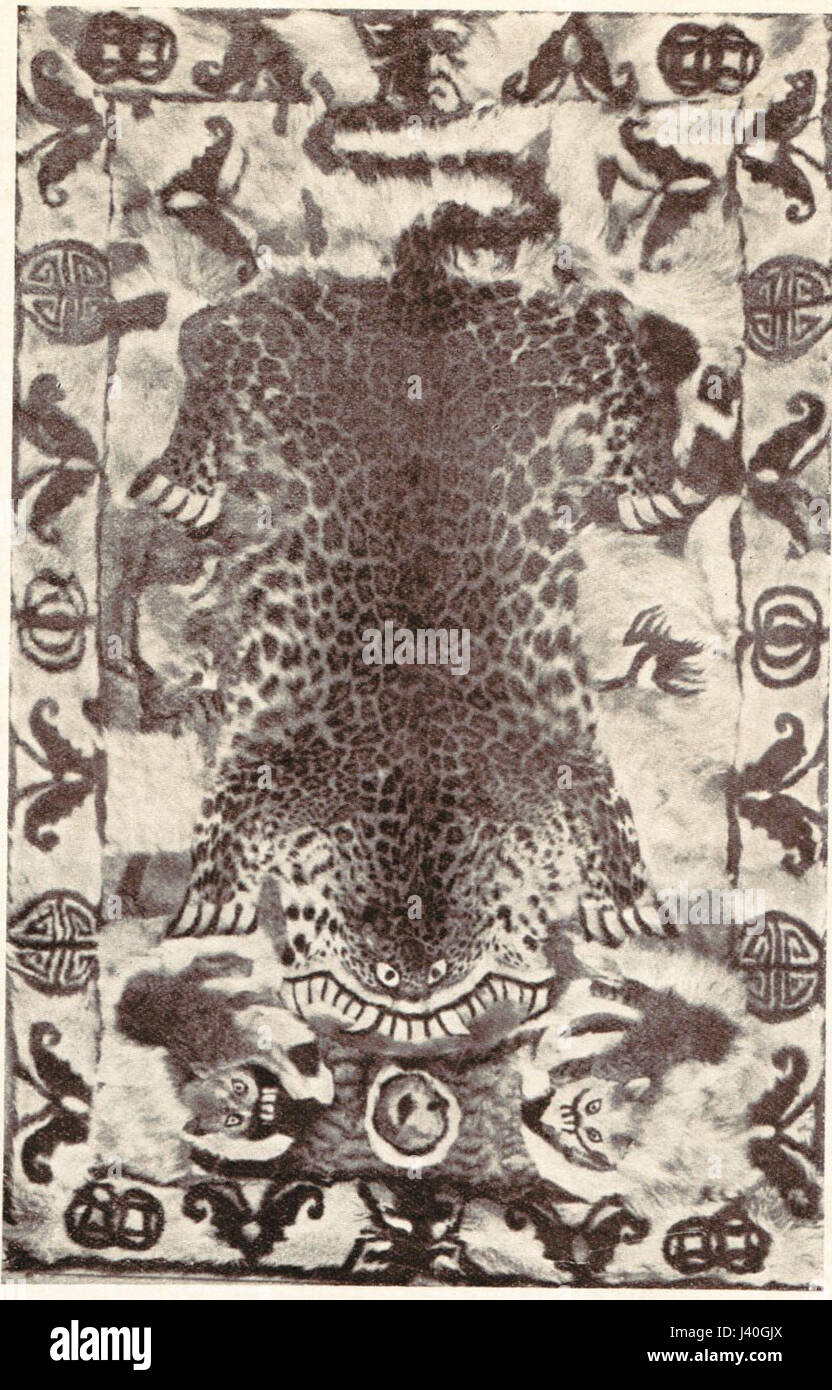 Tapis Leopard Banque D'Images