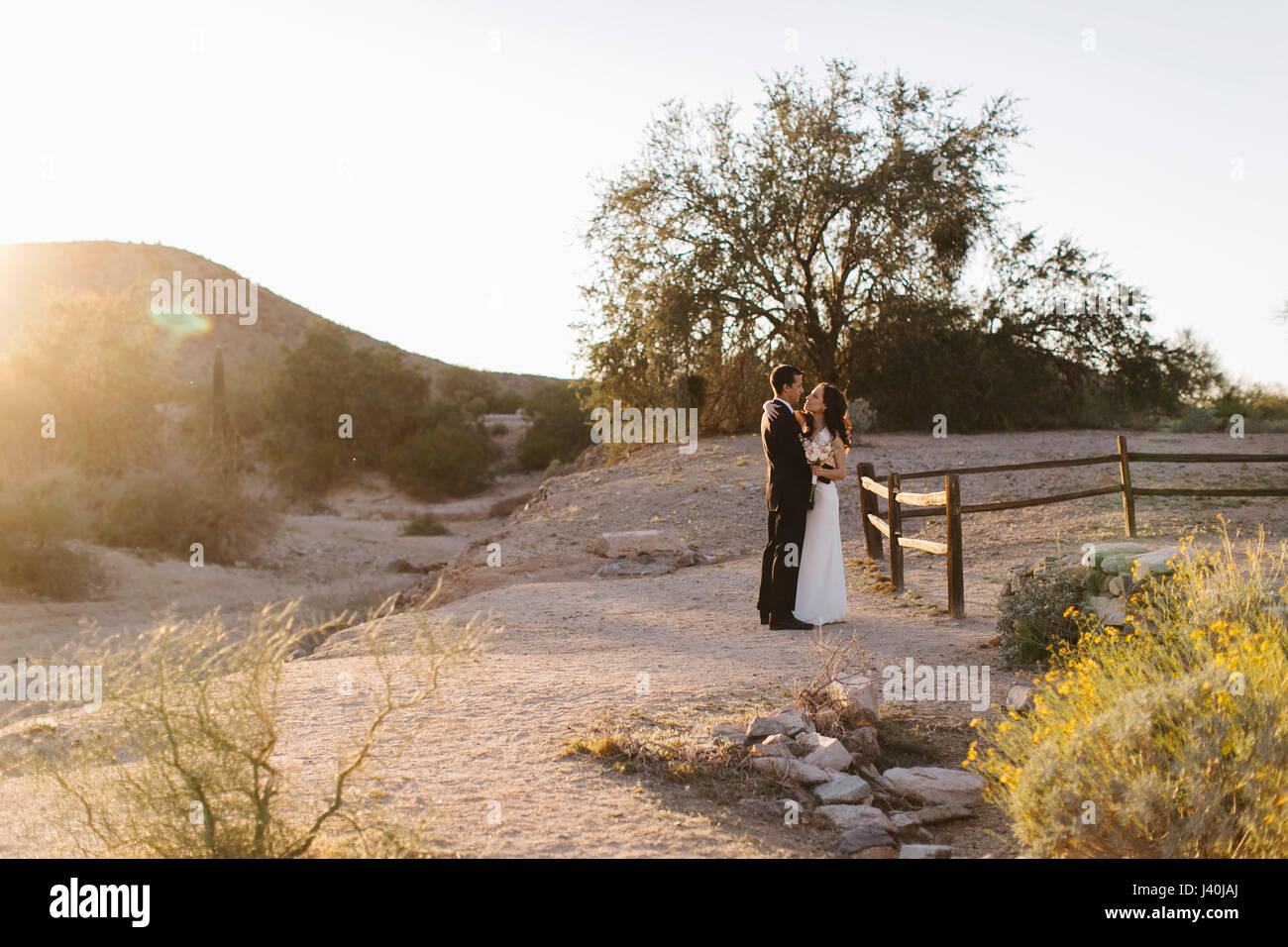 Mariée et le marié, dans paysage aride, debout face à face Banque D'Images