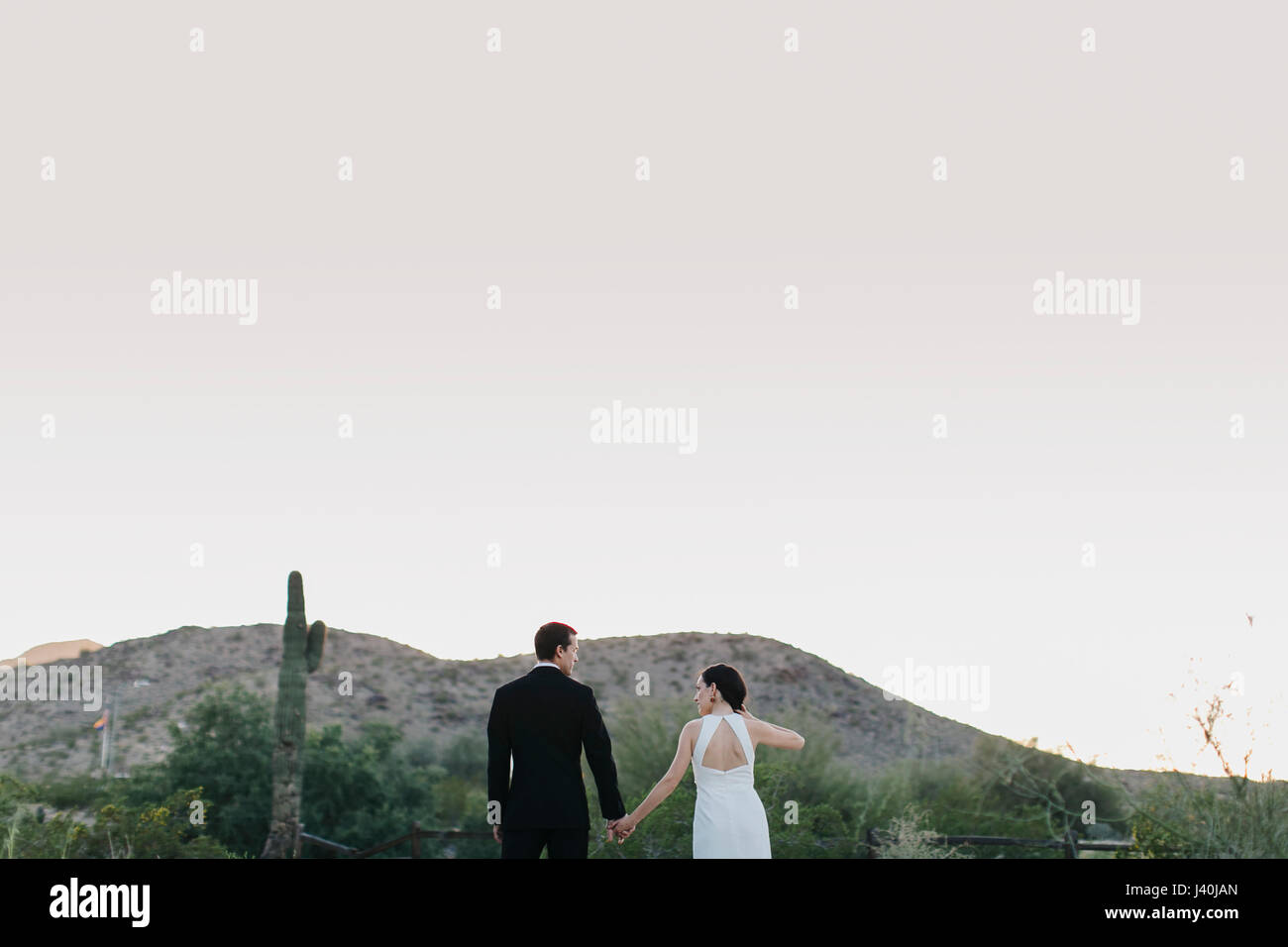 Mariée et le marié dans paysage aride, tenant les mains vue arrière Banque D'Images