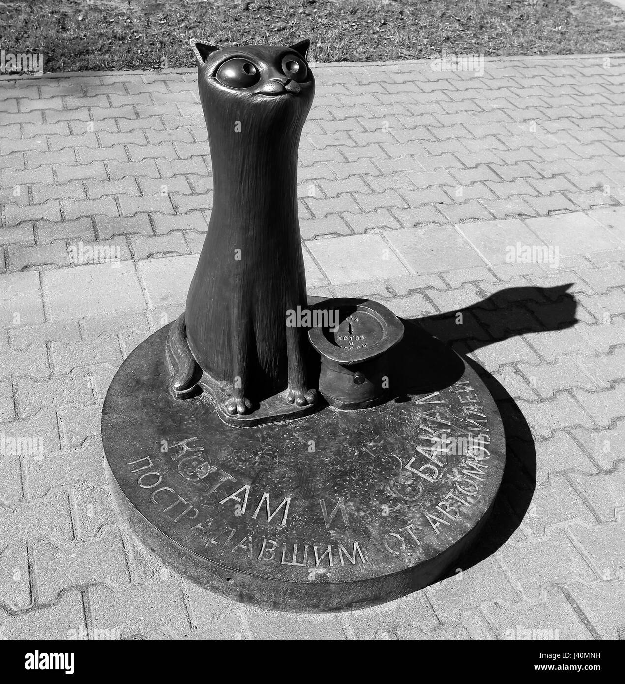 Monument aux chiens et chats touchés par les voitures en Russie, Kostroma Banque D'Images