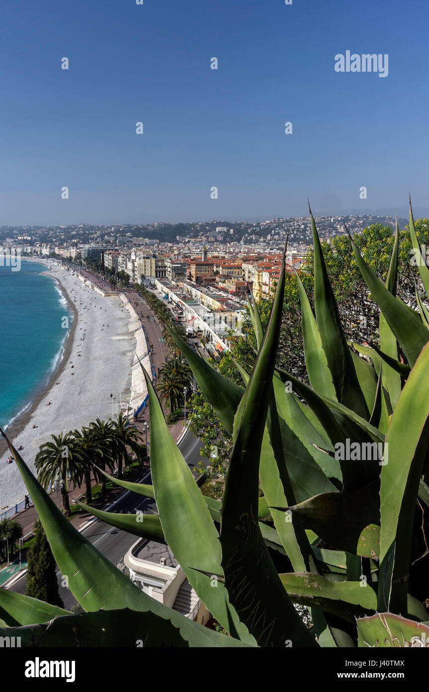 Des vues sur les toits de Nice, Promenade des Anglais, Alpes Maritimes, Provence, Côte d'Azur, Méditerranée, France, Europe Banque D'Images