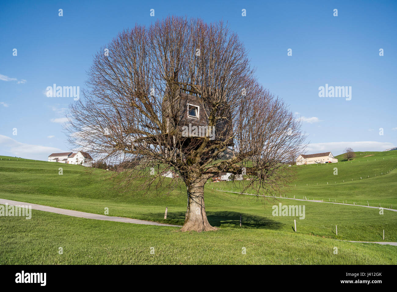 Une aire de jeux pour maison construite dans un arbre sur les terres agricoles près de la ville suisse de Apenzell, Suisse. Derek Hudson / Alamy Stock Photo Banque D'Images