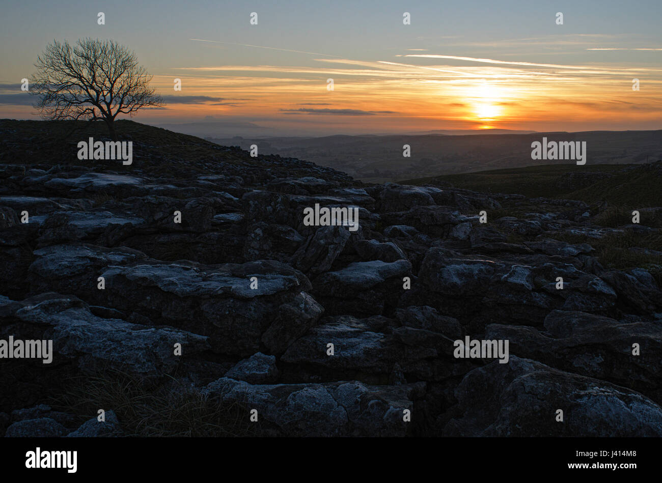 Coucher du soleil sur le calcaire au-dessus de Malham frosty, Yorkshire Dales. Frêne solitaire contre le ciel. Focus-stacked image paysage. Banque D'Images