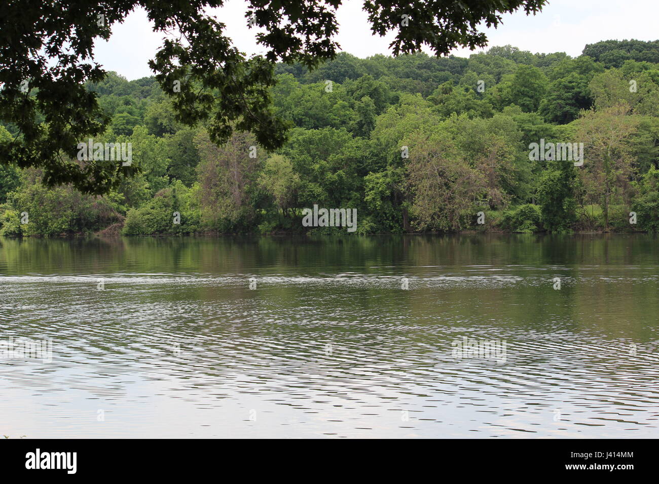 La rivière Schuylkill à East Fairmount Park Philadelphia Banque D'Images