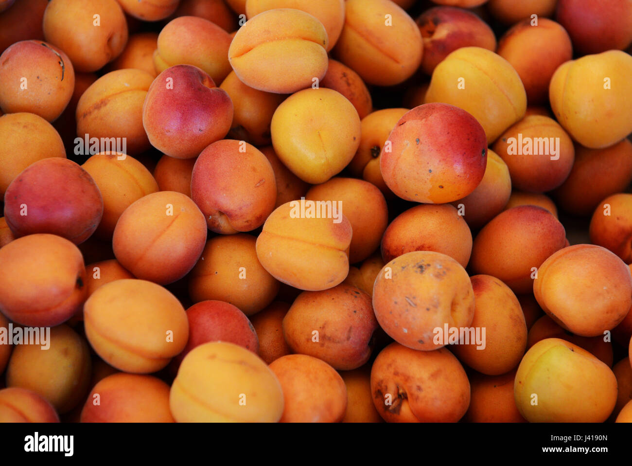 Abricots frais colorés vendus dans le marché Mercado da Ribeira à Lisbonne. Banque D'Images