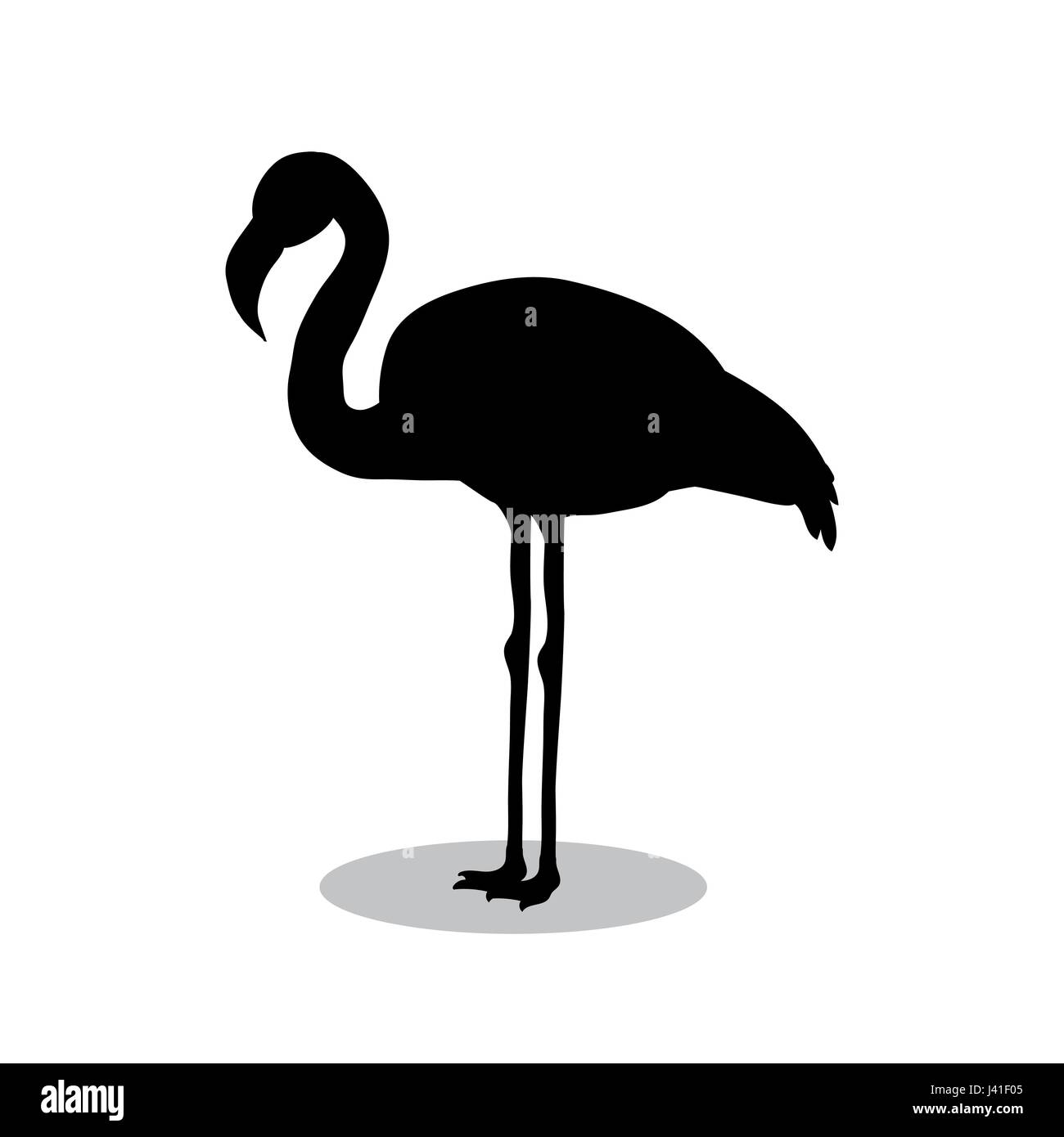 Flamingo bird animal silhouette noire Illustration de Vecteur
