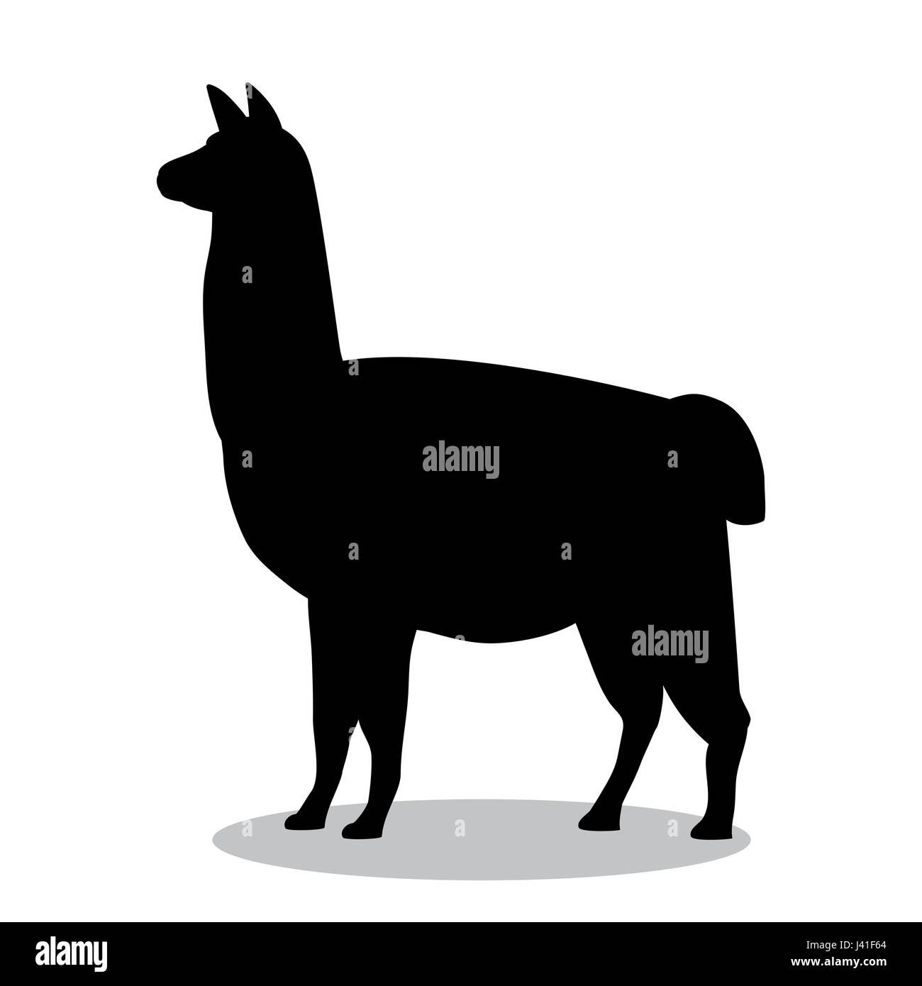 Lama noir mammifère animal silhouette Illustration de Vecteur